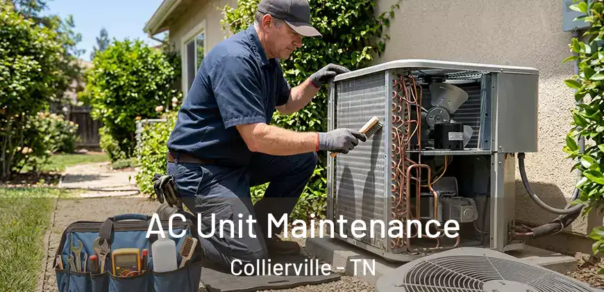 AC Unit Maintenance Collierville - TN